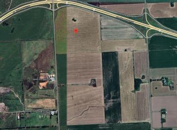 Campo · 40ha · Terreno en Cané y Autopista 8, Pergamino, Bs. As.
