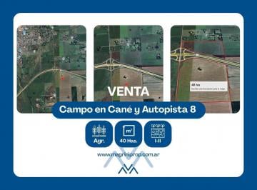 Campo · 400000ha · Terreno en Cané y Autopista 8, Pergamino, Bs. As.