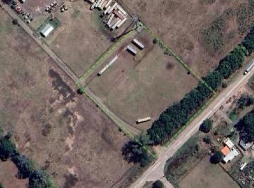 Terreno · 9000m² · Terreno en Alquiler Sobre Ruta – General Rodríguez