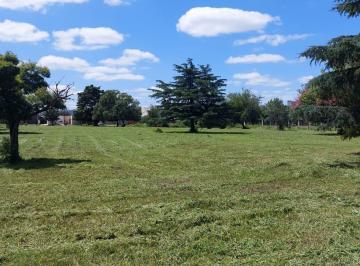 Paisaje unico · Campo en Ramallo 48ha