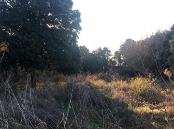 arboleda · Campo en Rio Tala San Pedro