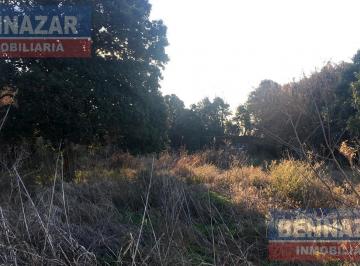 arboleda · Campo en Rio Tala San Pedro