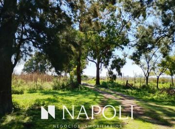 NNI-NNI-3938_2 · Venta de Campo en San Vicente.