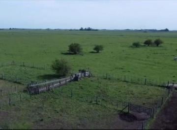 Campo · 1680000m² · 168 Hectáreas en Venta en Loma Verde, Bs As