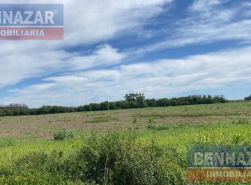 pastizal · Campo en Gobernador Castro San Pedro