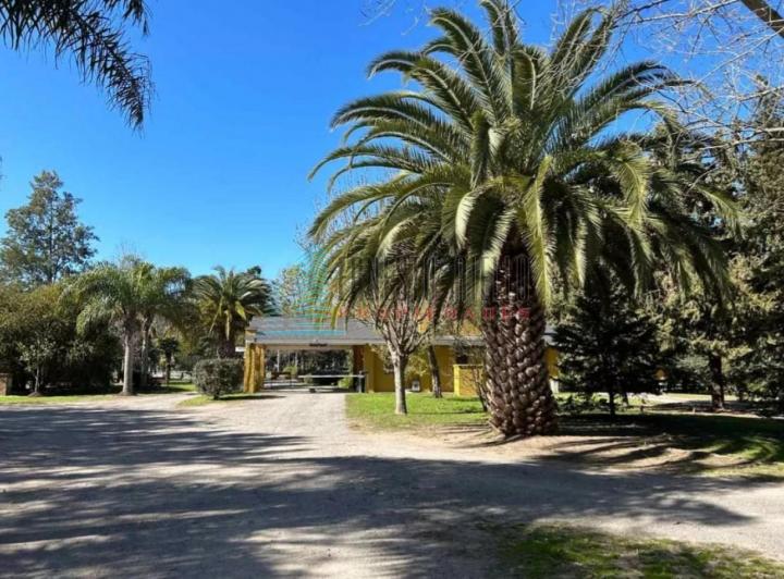 Terreno · 1000m²