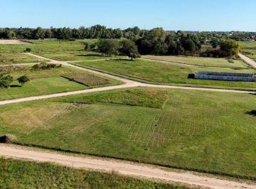 Terreno 232m² Venta Chascomús · Oportunidad – Lote en Desarrollo con Avance – Los Jerónimos – Chascomús