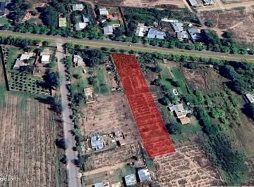 Terreno , San Rafael · Lote de 2000 m² Sobre Av Velez Sarfield