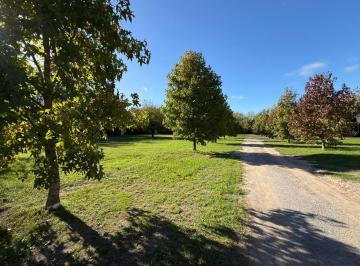 Terreno · 1326m² · Terreno en Villa Elisa