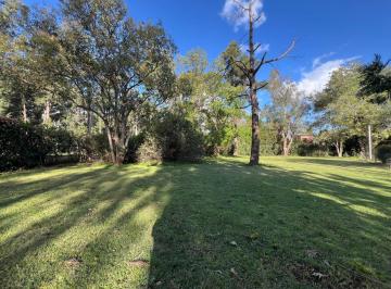 Terreno · 300m² · Venta Lote Terreno 12 X 25 m Paso del Rey