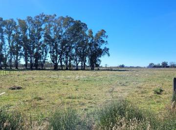 Campo · 9992m² · Venta, Parcela, Terreno, Campo Mercedes, 1 Hectarea, Ruta5 Km 108