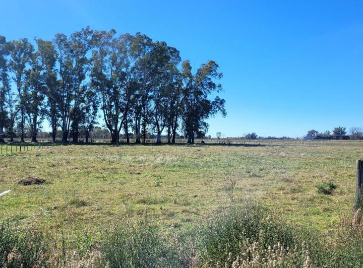 Campo · 9992m²