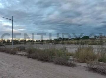 Terreno · 300m² · Venta Lote en Coquimbito