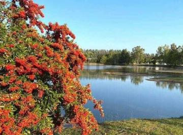 Terreno · 1330m² · Venta Lote Haras del Sur I La Plata