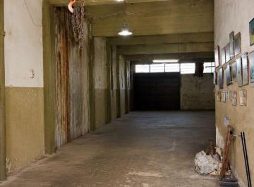 Bodega-Galpón , La Plata · Galpón / Local en Venta – Calle 63 Entre 30 y 31