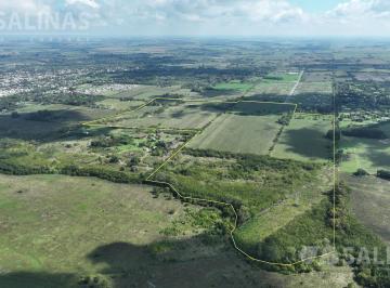 Campo · 1000000m² · Campo Apto Desarrollo en Capilla del Señor