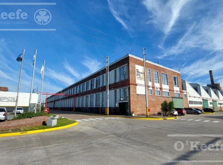 Bodega-Galpón · 705m² · 2 Ambientes