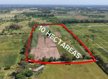 Campo · 1000000m² · Venta Campo 10hectáreas Oportunidad de Inversión