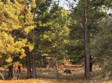 Campo · 2000000m² · 1 Ambiente · Campo a La Venta Santa Rosa de Calamuchita