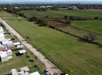Terreno · 1368m² · Lotes de 1300 m² en Terranostra 2 | Financiación Flexible | Inversión Segura