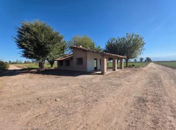 Campo , Lavalle · Finca 56 Hectáreas en Venta "El Vergel" Lavalle