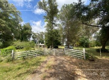 Campo · 160m² · 5 Ambientes · 5 Has en Veronica - Chacra en Venta con Importante Arboleda