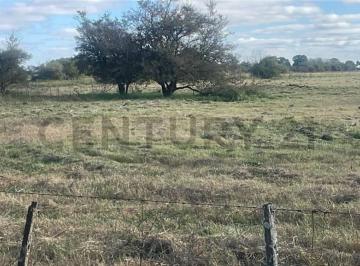 Campo · 14m² · Venta de Campo Apto Para Múltiples Usos
