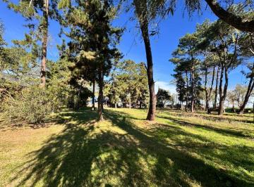 Terreno , Costa del Este · Lote en Venta en Costa del Este