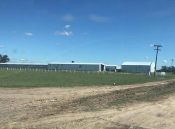 Terreno · 4103m² · Granja Avicola de Alta Produccion en Baradero