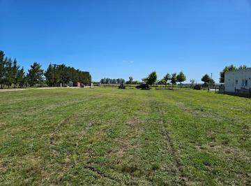 Terreno · 10000m² · Venta Lote - Club de Campo Haras del Sur III - Los Ceibos