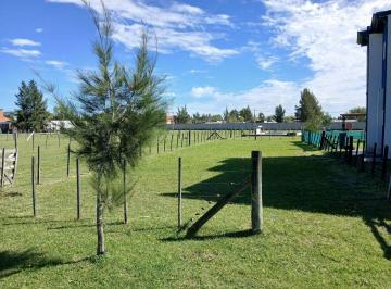 Terreno · 306m² · Gran Lote con Precio Inmejorable en El Barrio Domselaar Chico Urgente Venta