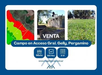 Campo · 1600000ha · Campo Mixto 160 Ha en Acceso Gral. Gelly, Pergamino, Buenos Aires