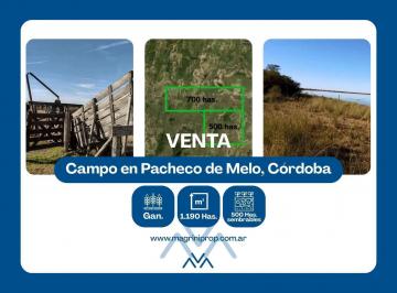 Campo · 11900000ha · Campo Ganadero 1190 Ha en Pacheco de Melo, Córdoba