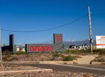 Terreno · 336m² · Terreno / Lote 336 m² | Lote Barrio Natania 73 Maipú | Todos Los Servicios