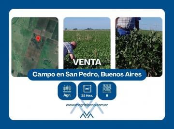 Campo · 350000ha · Campo Agrícola 40 Ha en San Pedro, Buenos Aires