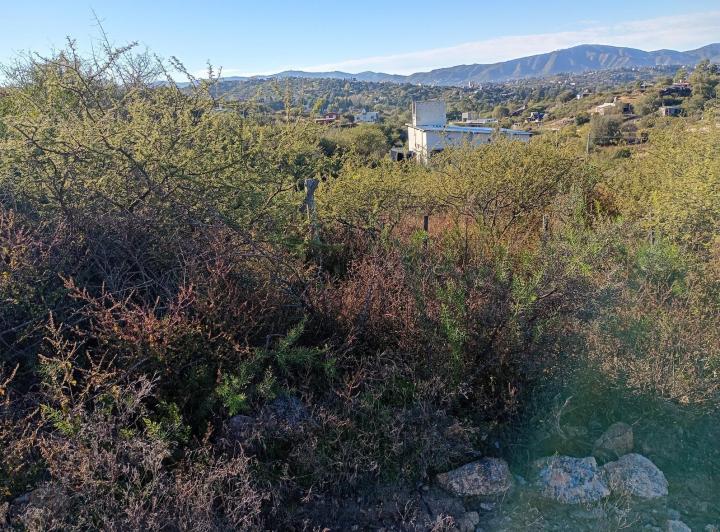 Terreno · 1029m²
