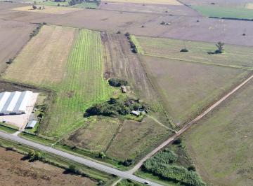 Terreno · 79100m² · 7,9 Hectáreas Sobre Rn A012