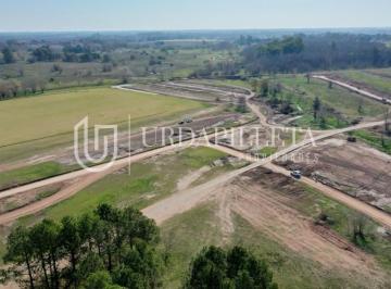 Terreno · 1100m² · Lote en Pilara - El Tilbury