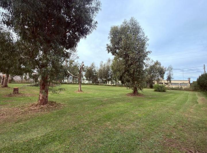 Terreno · 1000m²