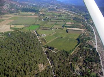 Terreno · 11490m² · Chacra El Bolson Camino de Los Nogales (Su - 33)