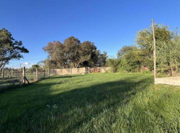 Terreno · 1000m² · Lote en Venta en Alejandro Korn