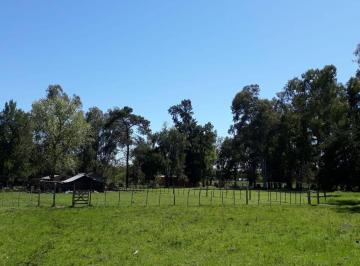 Terreno · 35000m² · Terreno. Cuatro Lotes de Terreno Arbolados