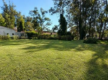 Terreno , Mar del Plata · Venta | Lote en Bosque Peralta Ramos | Calle Asfaltada y Excelente Entorno