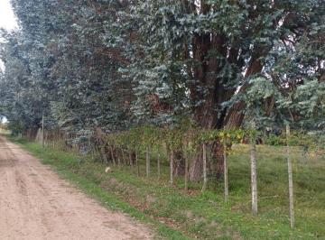 Terreno · 3081m² · Lotes Quinta en Barrio Los Sauces, zárate Ruta 31