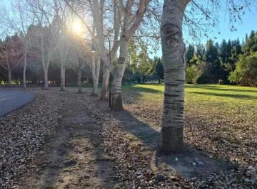 Terreno · 1000m² · Terreno en Venta - 1000 m² - Haras del Sur II, La Plata