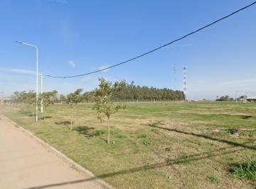 Campo · 15000m² · Campo en Venta Alvarez - Ideal Emprendimiento