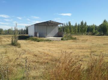 Bodega-Galpón · 200m² · 2 Ambientes · Galpon Industrial y Lote de 1 Hra y Fracción con Múltiple Utilización