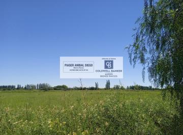 Campo · 50000m² · Finca en Los Claveles 5 Ha