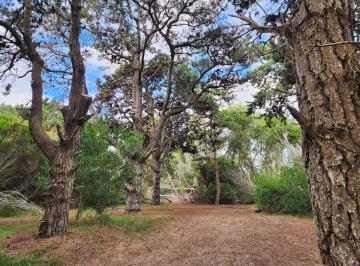 Terreno , Costa del Este · Lote en Venta en Costa del Este