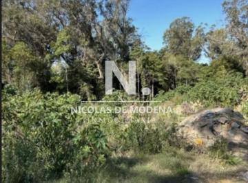 Foto1 · En Venta Lote de 1130 m² en Grutas, Punta Ballena